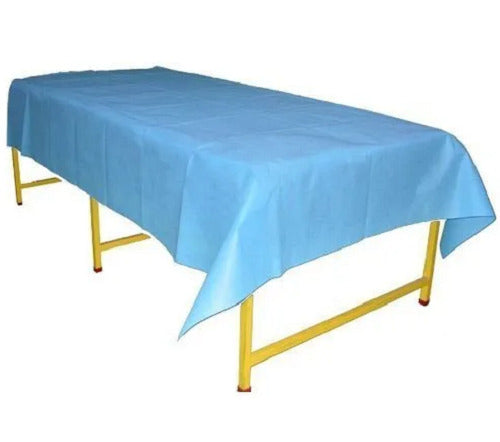 Light Blue Non-Woven Polypropylene Disposable Flat Bedsheets; 45 GSM - Pack/10 -  10 Packs/Carton