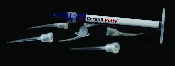 Prevest Denpro Cerafill Putty Bioceramic Material for Permanent Root Repair Regular Pack